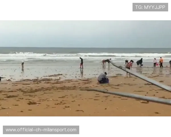 惠州台风后海鲜现身，赶海生活热闹非凡，惠州台风季节是几月份